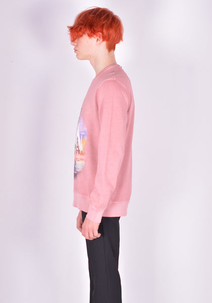 EGONLAB. THE BRUSSELS SPROUT'S ATTACK SWEATSHIRT OLD PINK FW21| DOSHABURI